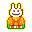 Orange King Rabbit (Japan)