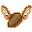 Winged Seed