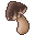 Chocolate Mushroom