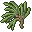 Pine Needle