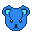 Blue Teddy Head