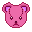 Pink Teddy Head