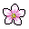 Cherry Blossoms