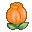 Orange Flower Bud