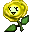 Yellow Rose