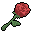 Red Rose