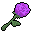 Purple Rose