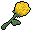 Yellow Rose