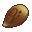 Seed