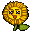 Sun Flower