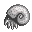 Ammonite