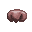 Dogs Nose