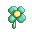 Cactus Flower