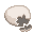 Shell of Ostrich Egg