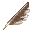 Eagle Feather
