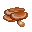1000 Year-Old Mushroom