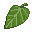 Mulberry Leaf