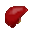 Liver