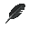 Crows Feather