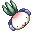 Radish