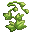 Vine