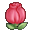 Flower Bud