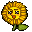 Sun Flower